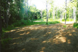 Kentucky deer hunting, western kentucky deer hunting, deer hunting, hunting, archery, Whitetail deer hunting, west ky whitetail hunting, kentucky whitetail outfitters, boone & crocket, food plots, deer food plots, chickory plots, lodging