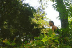Kentucky deer hunting, western kentucky deer hunting, deer hunting, hunting, archery, Whitetail deer hunting, west ky whitetail hunting, kentucky whitetail outfitters, boone & crocket, food plots, deer food plots, chickory plots, lodging