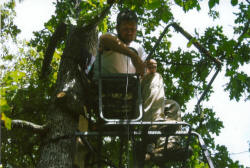 Kentucky deer hunting, western kentucky deer hunting, deer hunting, hunting, archery, Whitetail deer hunting, west ky whitetail hunting, kentucky whitetail outfitters, boone & crocket, food plots, deer food plots, chickory plots, lodging