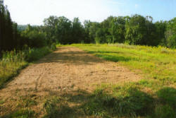 Kentucky deer hunting, western kentucky deer hunting, deer hunting, hunting, archery, Whitetail deer hunting, west ky whitetail hunting, kentucky whitetail outfitters, boone & crocket, food plots, deer food plots, chickory plots, lodging