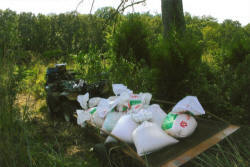 Kentucky deer hunting, western kentucky deer hunting, deer hunting, hunting, archery, Whitetail deer hunting, west ky whitetail hunting, kentucky whitetail outfitters, boone & crocket, food plots, deer food plots, chickory plots, lodging