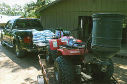 Kentucky deer hunting, western kentucky deer hunting, deer hunting, hunting, archery, Whitetail deer hunting, west ky whitetail hunting, kentucky whitetail outfitters, boone & crocket, food plots, deer food plots, chickory plots, lodging