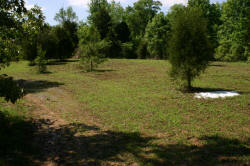 Kentucky deer hunting, western kentucky deer hunting, deer hunting, hunting, archery, Whitetail deer hunting, west ky whitetail hunting, kentucky whitetail outfitters, boone & crocket, food plots, deer food plots, chickory plots, lodging