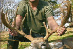 Kentucky deer hunting, western kentucky deer hunting, deer hunting, hunting, archery, Whitetail deer hunting, west ky whitetail hunting, kentucky whitetail outfitters, boone & crocket, food plots, deer food plots, chickory plots, lodging