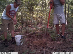 Kentucky deer hunting, western kentucky deer hunting, deer hunting, hunting, archery, Whitetail deer hunting, west ky whitetail hunting, kentucky whitetail outfitters, boone & crocket, food plots, deer food plots, chickory plots, lodging