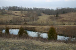 Kentucky deer hunting, western kentucky deer hunting, deer hunting, hunting, archery, Whitetail deer hunting, west ky whitetail hunting, kentucky whitetail outfitters, boone & crocket, food plots, deer food plots, chickory plots, lodging