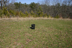 Kentucky deer hunting, western kentucky deer hunting, deer hunting, hunting, archery, Whitetail deer hunting, west ky whitetail hunting, kentucky whitetail outfitters, boone & crocket, food plots, deer food plots, chickory plots, lodging