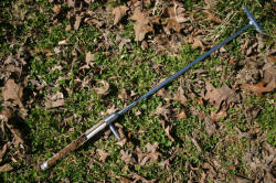 Kentucky deer hunting, western kentucky deer hunting, deer hunting, hunting, archery, Whitetail deer hunting, west ky whitetail hunting, kentucky whitetail outfitters, boone & crocket, food plots, deer food plots, chickory plots, lodging