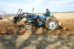 Kentucky deer hunting, western kentucky deer hunting, deer hunting, hunting, archery, Whitetail deer hunting, west ky whitetail hunting, kentucky whitetail outfitters, boone & crocket, food plots, deer food plots, chickory plots, lodging