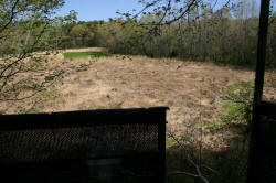 Kentucky deer hunting, western kentucky deer hunting, deer hunting, hunting, archery, Whitetail deer hunting, west ky whitetail hunting, kentucky whitetail outfitters, boone & crocket, food plots, deer food plots, chickory plots, lodging