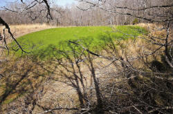 Kentucky deer hunting, western kentucky deer hunting, deer hunting, hunting, archery, Whitetail deer hunting, west ky whitetail hunting, kentucky whitetail outfitters, boone & crocket, food plots, deer food plots, chickory plots, lodging