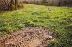 Kentucky deer hunting, western kentucky deer hunting, deer hunting, hunting, archery, Whitetail deer hunting, west ky whitetail hunting, kentucky whitetail outfitters, boone & crocket, food plots, deer food plots, chickory plots, lodging