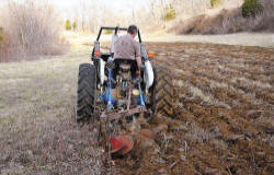 Kentucky deer hunting, western kentucky deer hunting, deer hunting, hunting, archery, Whitetail deer hunting, west ky whitetail hunting, kentucky whitetail outfitters, boone & crocket, food plots, deer food plots, chickory plots, lodging