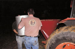 Kentucky deer hunting, western kentucky deer hunting, deer hunting, hunting, archery, Whitetail deer hunting, west ky whitetail hunting, kentucky whitetail outfitters, boone & crocket, food plots, deer food plots, chickory plots, lodging