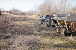 Kentucky deer hunting, western kentucky deer hunting, deer hunting, hunting, archery, Whitetail deer hunting, west ky whitetail hunting, kentucky whitetail outfitters, boone & crocket, food plots, deer food plots, chickory plots, lodging