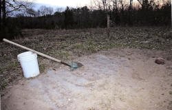 Kentucky deer hunting, western kentucky deer hunting, deer hunting, hunting, archery, Whitetail deer hunting, west ky whitetail hunting, kentucky whitetail outfitters, boone & crocket, food plots, deer food plots, chickory plots, lodging