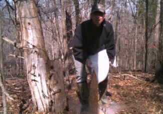 Kentucky Whitetail Deer Trail Cam Photos