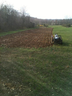 Kentucky deer hunting, western kentucky deer hunting, deer hunting, hunting, archery, Whitetail deer hunting, west ky whitetail hunting, kentucky whitetail outfitters, boone & crocket, food plots, deer food plots, chickory plots, lodging