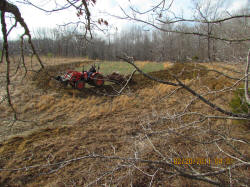 Kentucky deer hunting, western kentucky deer hunting, deer hunting, hunting, archery, Whitetail deer hunting, west ky whitetail hunting, kentucky whitetail outfitters, boone & crocket, food plots, deer food plots, chickory plots, lodging