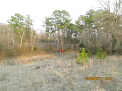 Kentucky deer hunting, western kentucky deer hunting, deer hunting, hunting, archery, Whitetail deer hunting, west ky whitetail hunting, kentucky whitetail outfitters, boone & crocket, food plots, deer food plots, chickory plots, lodging