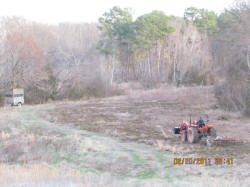 Kentucky deer hunting, western kentucky deer hunting, deer hunting, hunting, archery, Whitetail deer hunting, west ky whitetail hunting, kentucky whitetail outfitters, boone & crocket, food plots, deer food plots, chickory plots, lodging