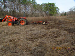 Kentucky deer hunting, western kentucky deer hunting, deer hunting, hunting, archery, Whitetail deer hunting, west ky whitetail hunting, kentucky whitetail outfitters, boone & crocket, food plots, deer food plots, chickory plots, lodging