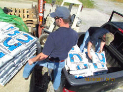 Kentucky deer hunting, western kentucky deer hunting, deer hunting, hunting, archery, Whitetail deer hunting, west ky whitetail hunting, kentucky whitetail outfitters, boone & crocket, food plots, deer food plots, chickory plots, lodging