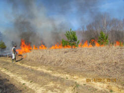 Kentucky deer hunting, western kentucky deer hunting, deer hunting, hunting, archery, Whitetail deer hunting, west ky whitetail hunting, kentucky whitetail outfitters, boone & crocket, food plots, deer food plots, chickory plots, lodging