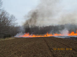 Kentucky deer hunting, western kentucky deer hunting, deer hunting, hunting, archery, Whitetail deer hunting, west ky whitetail hunting, kentucky whitetail outfitters, boone & crocket, food plots, deer food plots, chickory plots, lodging