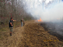 Kentucky deer hunting, western kentucky deer hunting, deer hunting, hunting, archery, Whitetail deer hunting, west ky whitetail hunting, kentucky whitetail outfitters, boone & crocket, food plots, deer food plots, chickory plots, lodging