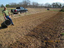 Kentucky deer hunting, western kentucky deer hunting, deer hunting, hunting, archery, Whitetail deer hunting, west ky whitetail hunting, kentucky whitetail outfitters, boone & crocket, food plots, deer food plots, chickory plots, lodging