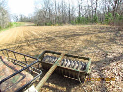 Kentucky deer hunting, western kentucky deer hunting, deer hunting, hunting, archery, Whitetail deer hunting, west ky whitetail hunting, kentucky whitetail outfitters, boone & crocket, food plots, deer food plots, chickory plots, lodging