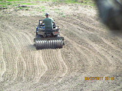 Kentucky deer hunting, western kentucky deer hunting, deer hunting, hunting, archery, Whitetail deer hunting, west ky whitetail hunting, kentucky whitetail outfitters, boone & crocket, food plots, deer food plots, chickory plots, lodging