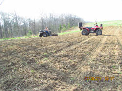 Kentucky deer hunting, western kentucky deer hunting, deer hunting, hunting, archery, Whitetail deer hunting, west ky whitetail hunting, kentucky whitetail outfitters, boone & crocket, food plots, deer food plots, chickory plots, lodging