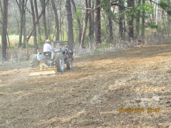Kentucky deer hunting, western kentucky deer hunting, deer hunting, hunting, archery, Whitetail deer hunting, west ky whitetail hunting, kentucky whitetail outfitters, boone & crocket, food plots, deer food plots, chickory plots, lodging