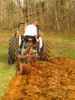 Kentucky deer hunting, western kentucky deer hunting, deer hunting, hunting, archery, Whitetail deer hunting, west ky whitetail hunting, kentucky whitetail outfitters, boone & crocket, food plots, deer food plots, chickory plots, lodging