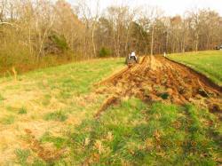 Kentucky deer hunting, western kentucky deer hunting, deer hunting, hunting, archery, Whitetail deer hunting, west ky whitetail hunting, kentucky whitetail outfitters, boone & crocket, food plots, deer food plots, chickory plots, lodging