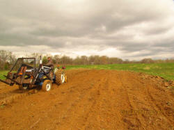 Kentucky deer hunting, western kentucky deer hunting, deer hunting, hunting, archery, Whitetail deer hunting, west ky whitetail hunting, kentucky whitetail outfitters, boone & crocket, food plots, deer food plots, chickory plots, lodging