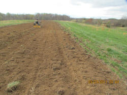 Kentucky deer hunting, western kentucky deer hunting, deer hunting, hunting, archery, Whitetail deer hunting, west ky whitetail hunting, kentucky whitetail outfitters, boone & crocket, food plots, deer food plots, chickory plots, lodging