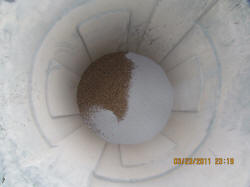 Kentucky deer hunting, western kentucky deer hunting, deer hunting, hunting, archery, Whitetail deer hunting, west ky whitetail hunting, kentucky whitetail outfitters, boone & crocket, food plots, deer food plots, chickory plots, lodging