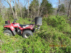 Kentucky deer hunting, western kentucky deer hunting, deer hunting, hunting, archery, Whitetail deer hunting, west ky whitetail hunting, kentucky whitetail outfitters, boone & crocket, food plots, deer food plots, chickory plots, lodging