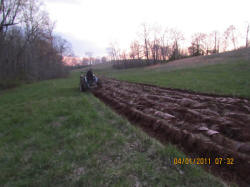 Kentucky deer hunting, western kentucky deer hunting, deer hunting, hunting, archery, Whitetail deer hunting, west ky whitetail hunting, kentucky whitetail outfitters, boone & crocket, food plots, deer food plots, chickory plots, lodging