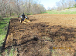 Kentucky deer hunting, western kentucky deer hunting, deer hunting, hunting, archery, Whitetail deer hunting, west ky whitetail hunting, kentucky whitetail outfitters, boone & crocket, food plots, deer food plots, chickory plots, lodging