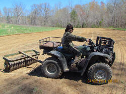 Kentucky deer hunting, western kentucky deer hunting, deer hunting, hunting, archery, Whitetail deer hunting, west ky whitetail hunting, kentucky whitetail outfitters, boone & crocket, food plots, deer food plots, chickory plots, lodging