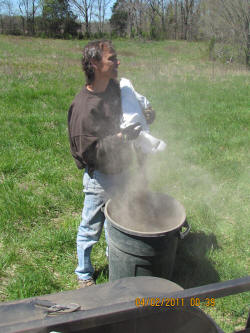Kentucky deer hunting, western kentucky deer hunting, deer hunting, hunting, archery, Whitetail deer hunting, west ky whitetail hunting, kentucky whitetail outfitters, boone & crocket, food plots, deer food plots, chickory plots, lodging