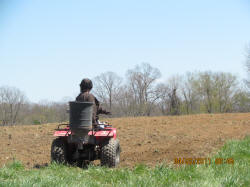 Kentucky deer hunting, western kentucky deer hunting, deer hunting, hunting, archery, Whitetail deer hunting, west ky whitetail hunting, kentucky whitetail outfitters, boone & crocket, food plots, deer food plots, chickory plots, lodging