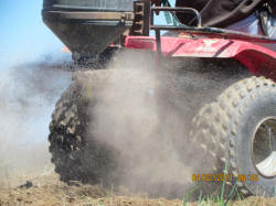 Kentucky deer hunting, western kentucky deer hunting, deer hunting, hunting, archery, Whitetail deer hunting, west ky whitetail hunting, kentucky whitetail outfitters, boone & crocket, food plots, deer food plots, chickory plots, lodging
