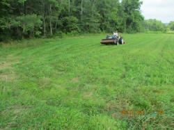 Kentucky deer hunting, western kentucky deer hunting, deer hunting, hunting, archery, Whitetail deer hunting, west ky whitetail hunting, kentucky whitetail outfitters, boone & crocket, food plots, deer food plots, chickory plots, lodging