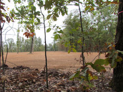 Kentucky deer hunting, western kentucky deer hunting, deer hunting, hunting, archery, Whitetail deer hunting, west ky whitetail hunting, kentucky whitetail outfitters, boone & crocket, food plots, deer food plots, chickory plots, lodging