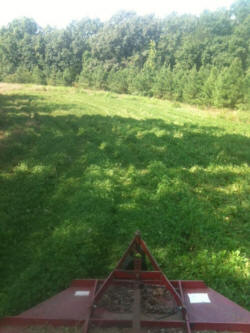 Kentucky deer hunting, western kentucky deer hunting, deer hunting, hunting, archery, Whitetail deer hunting, west ky whitetail hunting, kentucky whitetail outfitters, boone & crocket, food plots, deer food plots, chickory plots, lodging
